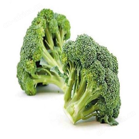 绿拓优质速冻西蓝花烹饪配料绿色菜花出售