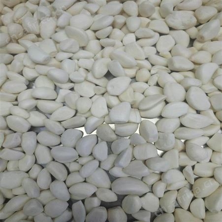绿拓精品辛辣大蒜瓣 颗颗饱满蒜粒卫生保障加工