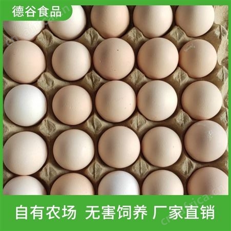 鲜鸡蛋_鲜鸡蛋礼盒_产地直销_德谷食品_量大从优