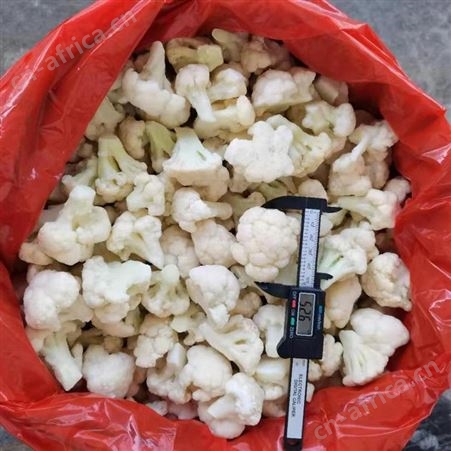 日照緑拓食品--速冻蔬菜工厂-速冻白花菜批发