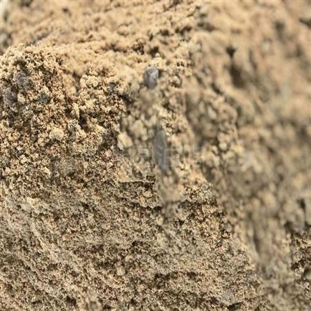 羊骨粉加工设备 天圆油脂设备 肉骨粉加工成套设备 大厂工艺