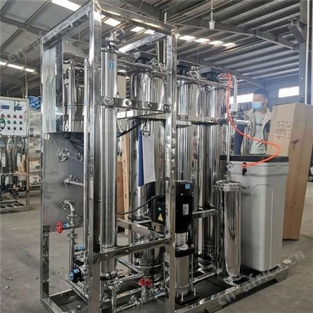 不锈钢0.5吨1吨2吨双级反渗透设备 二级反渗透水处理设备