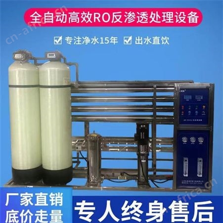 吉林食品加工ro反渗透纯水处理设备过滤水处理设备