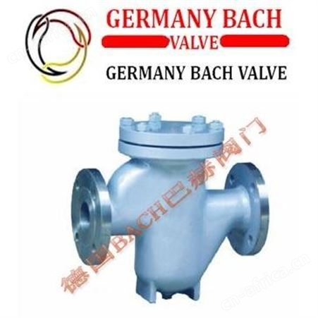 德国BACH巴赫进口不锈钢Y型过滤器，Y型不锈钢过滤器