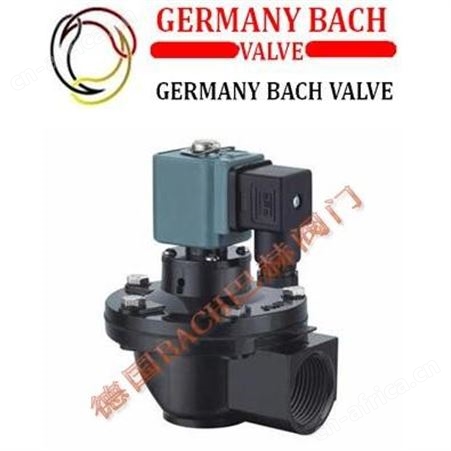 德国BACH巴赫进口淹没式电磁脉冲阀，淹没式电磁脉冲阀，进口电磁脉冲阀