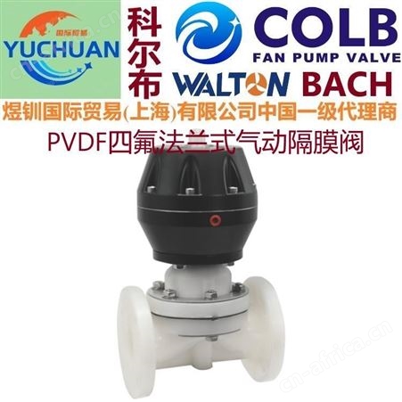 PVDF塑料隔膜阀，进口塑料PVDF隔膜阀，塑料隔膜阀，美国COLB科尔布隔膜阀