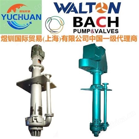WALTON美沃尔顿进口水泵卧式渣浆泵厂家 矿用搅拌泥浆泵