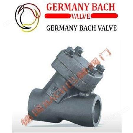 德国BACH巴赫进口不锈钢Y型过滤器，Y型不锈钢过滤器