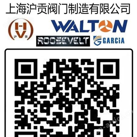 德国BACH巴赫进口淹没式电磁脉冲阀，淹没式电磁脉冲阀，进口电磁脉冲阀