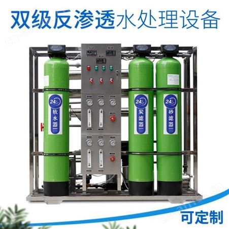 哈尔滨大型工业双极反渗透设备超纯水ro膜水处理净水设备