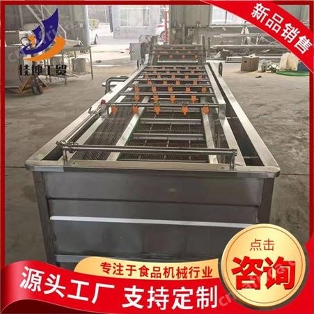  气泡清洗机 叶菜类清洗去杂设备 小米辣清洗机 佳坤定制