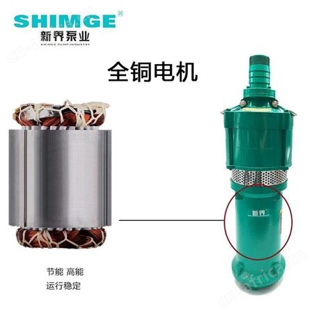 SHIMGE新界干式潜水电泵QD15-20/2-1.5J民用220V排水泵