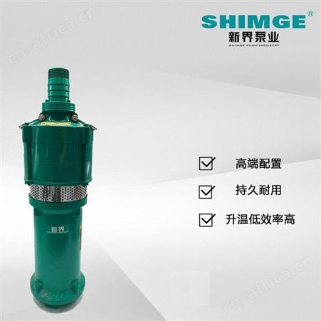 SHIMGE新界干式潜水电泵QD15-20/2-1.5J民用220V排水泵