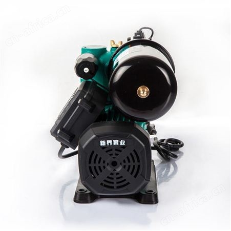 新界智能全自动自吸电泵PW125Z小户型家用自来水增压泵