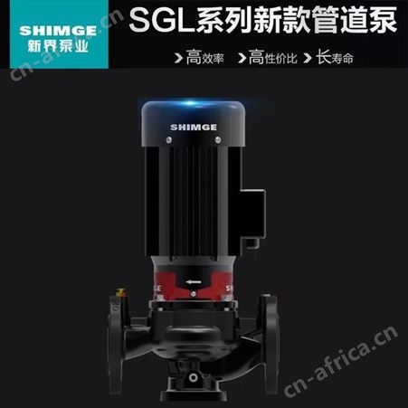 0.75千瓦立式单级离心泵新界SGL40-100(I)AG锅炉热水空调供暖制冷循环管道泵