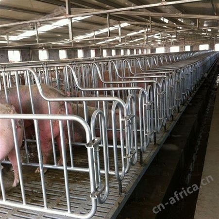 现货批发 限位栏 猪用定位栏 热镀锌限位栏 鸿元通用机械制造