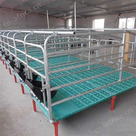 猪用限位栏 批量销售  现货批发 落地限位栏 母猪定位栏