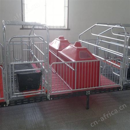 产保一体产床 咨询订购 双体位母猪产床 双体猪用 规格多样