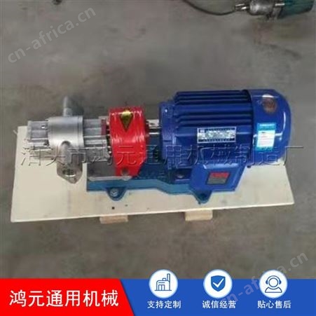 长期出售 洒水车泵 不锈钢齿轮泵 齿轮油泵 加工定制