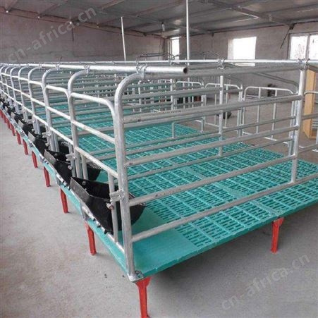 猪场定位栏 大量现货  价格合理 加厚款猪用母猪定位栏 定位栏