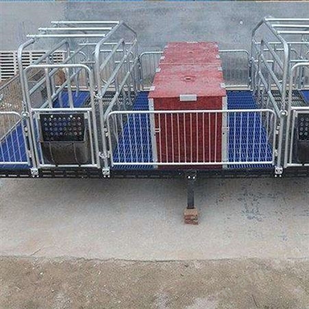 复合板母猪产床  猪用产保一体产床 厂家承接 母猪落地产床 定制加工