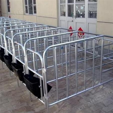 母猪定位栏  大量现货  母猪产床定位栏 鸿元出售 复合板板定位栏限位栏