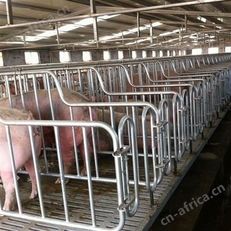 肥猪限位栏 定制供应 限位栏 定位栏 价格合理