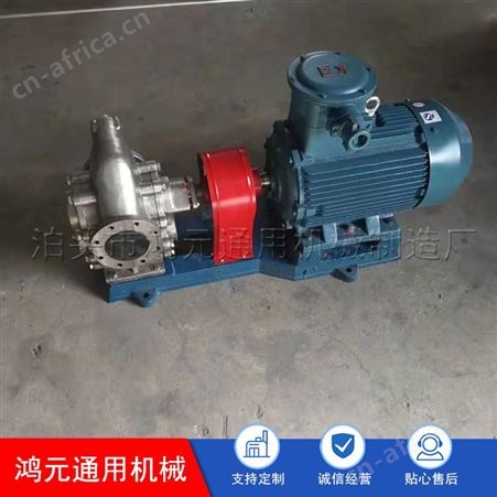 批发 不锈钢保温齿轮泵 立式导热油泵 高温导热油泵 匠心工艺