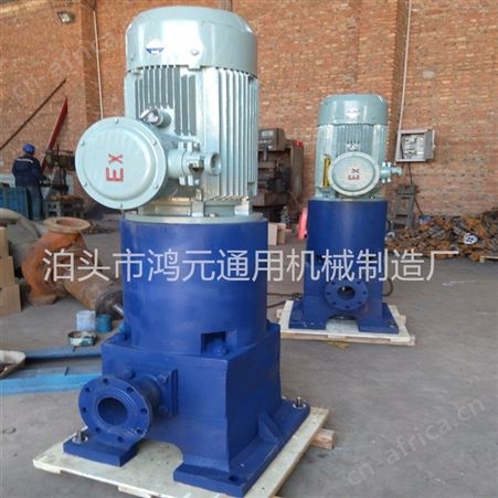 鸿元机械供应 清油输送立式滑片泵 防爆型立式转子容积泵 HGB立式滑片泵生产厂家