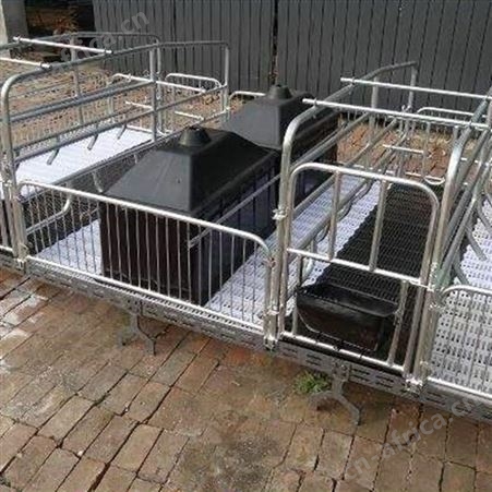 供应 母猪产床 保育床 单体猪用自动化养猪设备 母猪定位栏设备