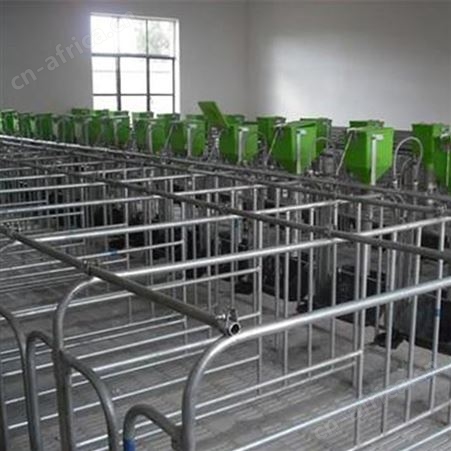 猪场定位栏 大量现货  价格合理 加厚款猪用母猪定位栏 定位栏