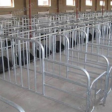 肥猪限位栏 定制供应 限位栏 定位栏 价格合理