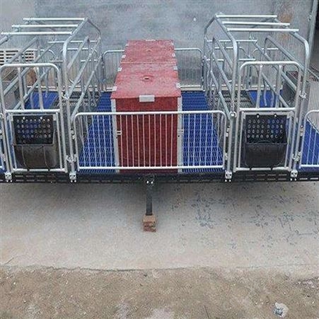 鸿元出售 产保一体猪产床 现货批发 全复合板母猪产床 猪用产床