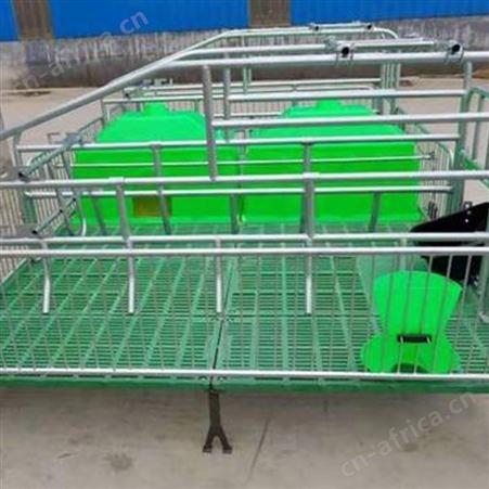 母猪复合板产床 单体产床 价格称心 猪用双体母猪产床 批量供应