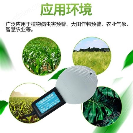 叶面湿度仪 叶面湿度测定仪 叶面湿度传感器 精讯畅通