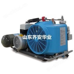 进口PE100-TE/W德尔格高压空气压缩机、呼吸器充气泵