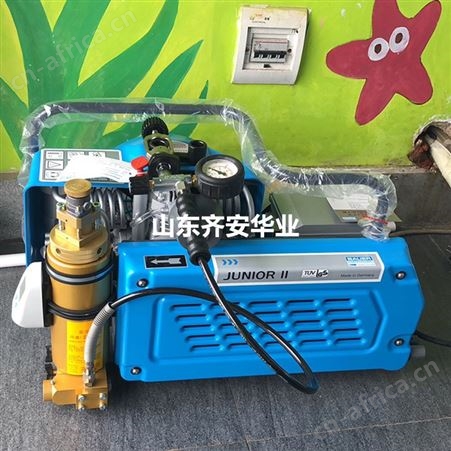 宝华J II E进气滤芯N4823高压空气压缩机JUNIOR II呼吸器充气泵