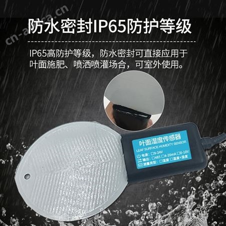 叶面湿度仪 叶面湿度测定仪 叶面湿度传感器 精讯畅通