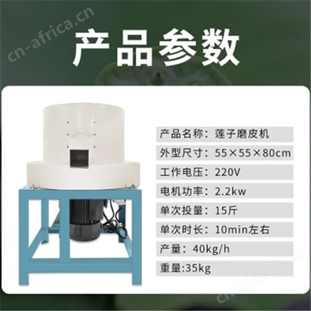 老莲子磨皮机 红莲子抛光磨白机 自动莲子去薄皮机器
