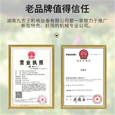 久农王全自动莲子钻芯机电动去芯机器莲子开边机