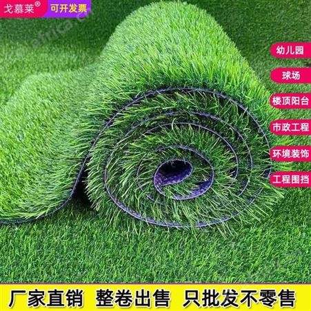 人造仿真草坪 室内鱼缸仿真草坪 屋面楼顶仿真草皮地毯 厂家直发 戈慕莱