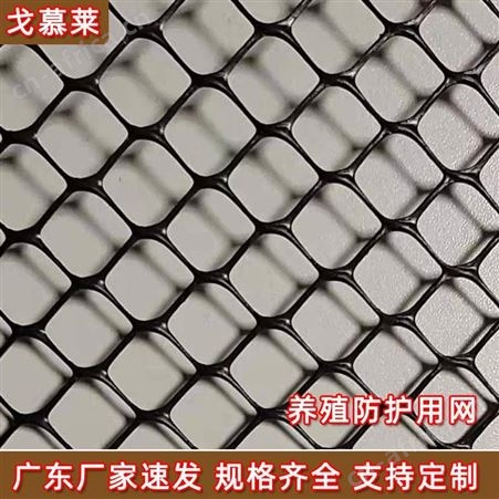 浙江绿色床垫网 土工塑料平网 加厚阻燃绿化塑料网围栏 厂家定制 戈慕莱