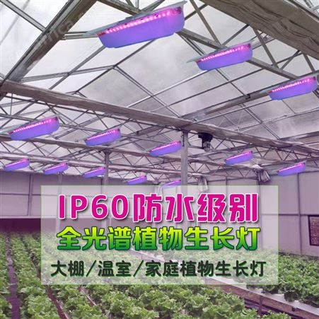 HY-GKZWD-50W50W工矿植物灯 大棚植物补光灯 蔬菜补光灯 西红柿补光灯 火龙果补光灯
