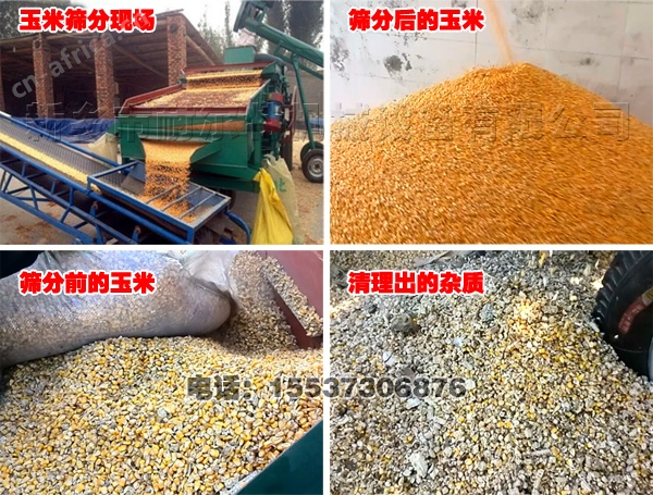 玉米清粮机筛分效果