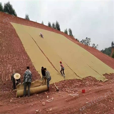 复合椰丝毯 植物纤维植草毯 麻椰固土毯边坡防护