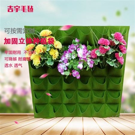 壁挂式种植袋 植物墙垂直绿化毛毡植物袋 立体毛毡种植袋