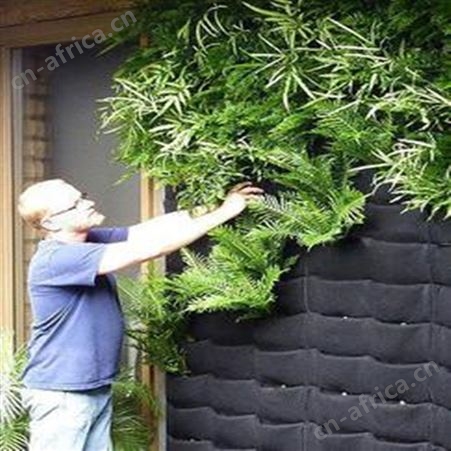 壁挂式种植袋 植物墙垂直绿化毛毡植物袋 立体毛毡种植袋