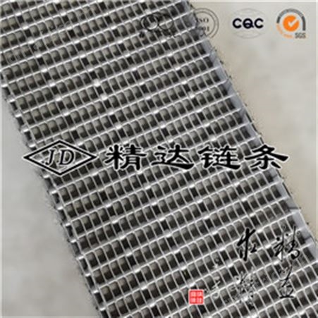 六列不锈钢链条片式输送带