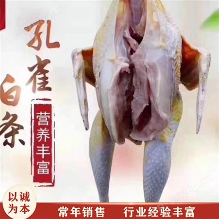 长期供应食用孔雀肉 整只孔雀肉 盒装孔雀肉