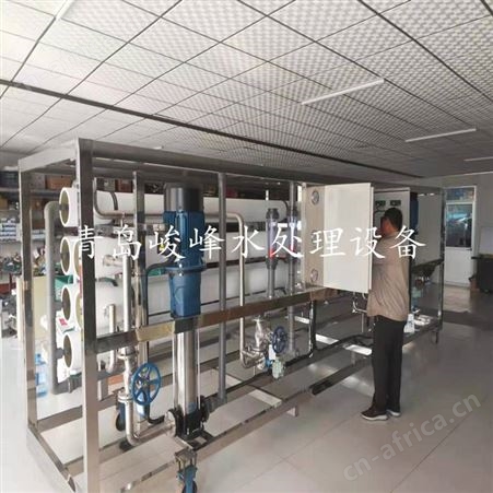 自动监测水质的酒店直饮水设备 自来水过滤 定制峻峰10T过滤设备